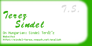 terez sindel business card